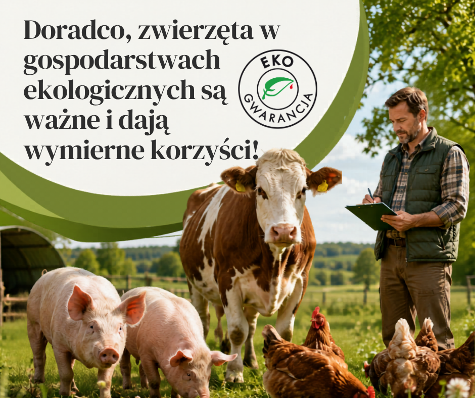 Zwierzęta w gospodarstwach ekologicznych są ważne i dają wymierne korzyści!